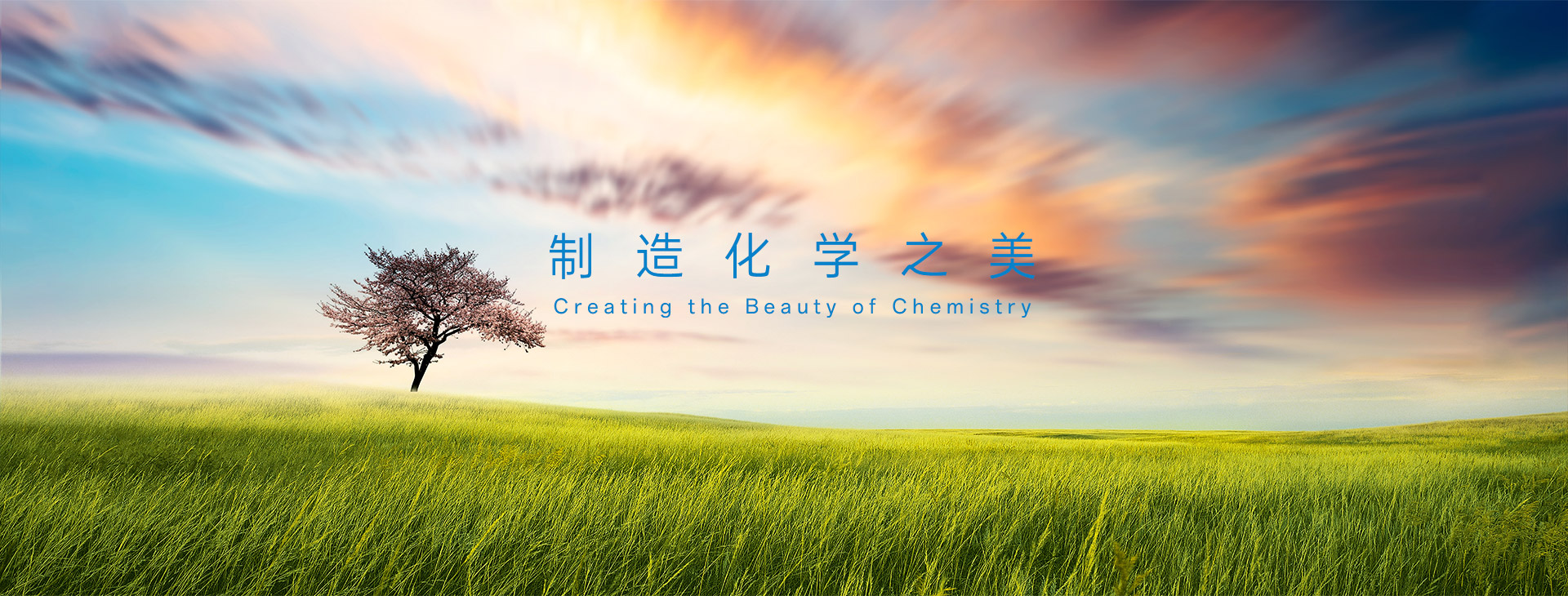 半岛在线登录入口